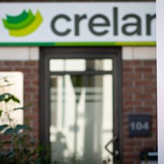 Photo de l'équipe AE Conseil